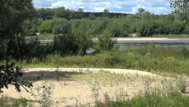 Photo of Zakaz kąpieli na obszarach wodnych w gminie Puławy