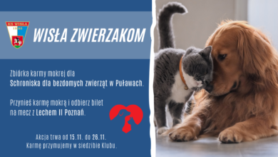 Photo of Kolejna zbiórka karmy dla zwierząt w Puławach